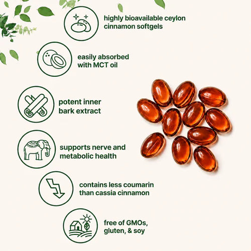 Noralife™ Ceylon Cinnamon
