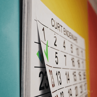 Stay Consistent Every Day